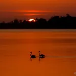 Prázdninový dům Ria De Aveiro White House Murtosa