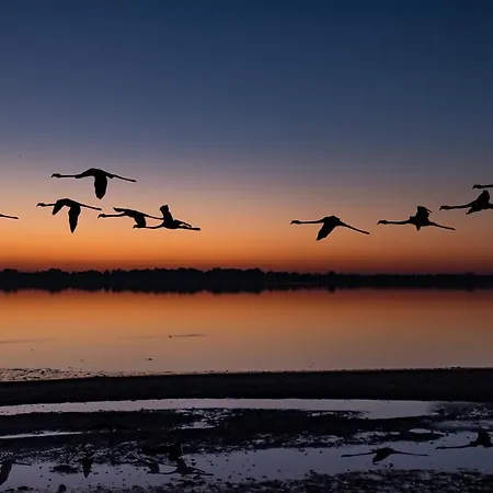 Ria De Aveiro White House Vakantiehuis *