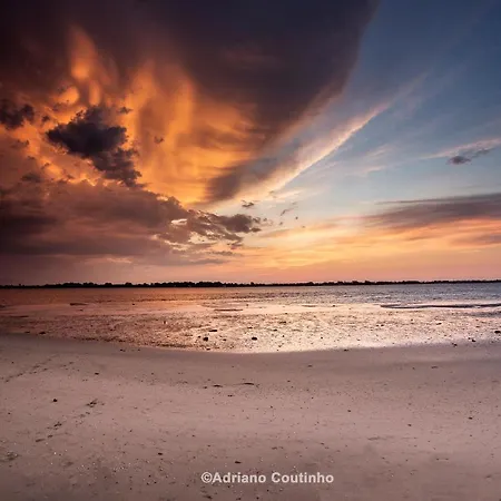 Ria De Aveiro White House *