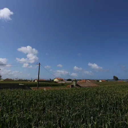 Ria De Aveiro White House Hébergement de vacances