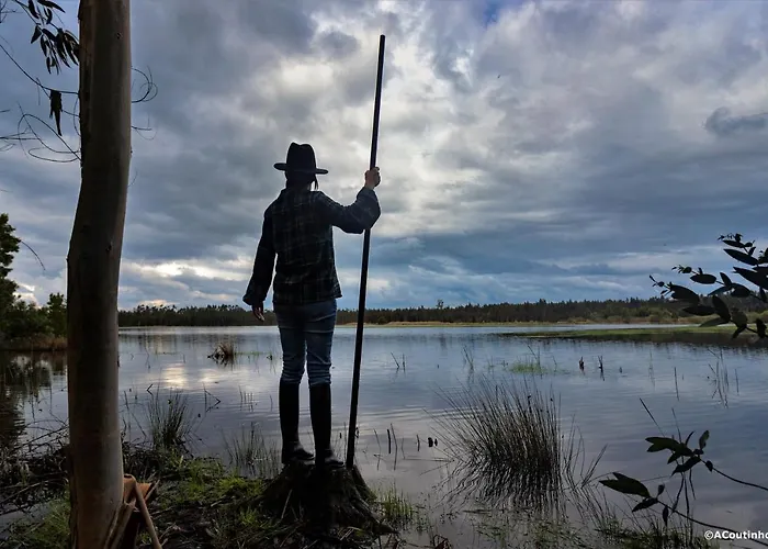 Dom wakacyjny Ria De Aveiro White House Murtosa