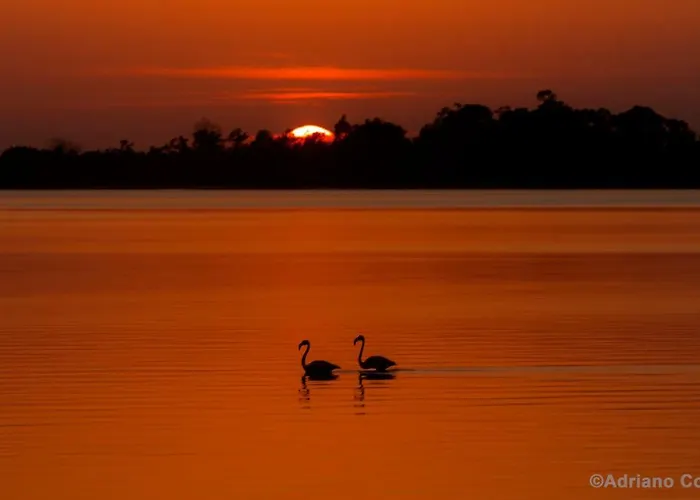 Dom wakacyjny Ria De Aveiro White House Murtosa