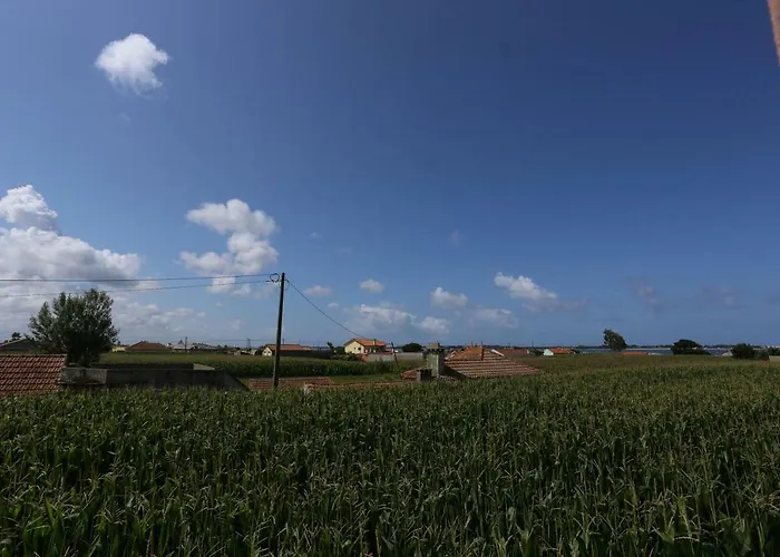 Ria De Aveiro White House Holiday home